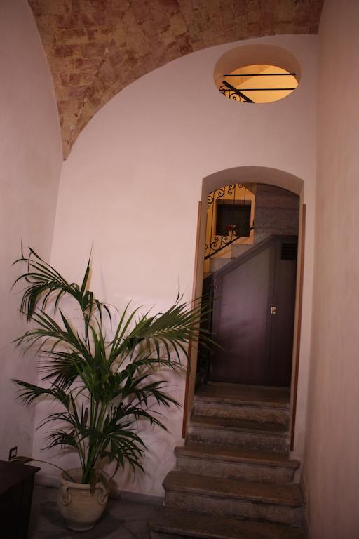 Barbara Trapani